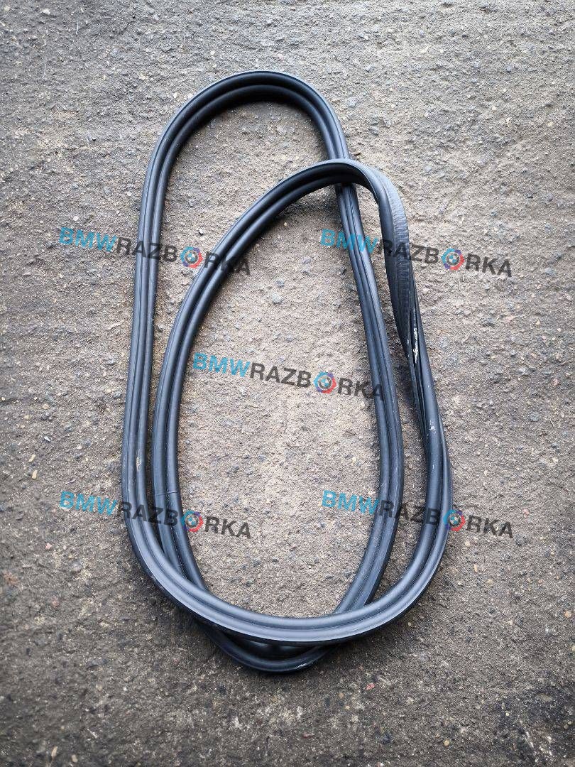 уплотнитель BMW M4 G82/G83 G82 2023, 3.0 л., S58B30A, бензин, купе, полный привод, 7478923