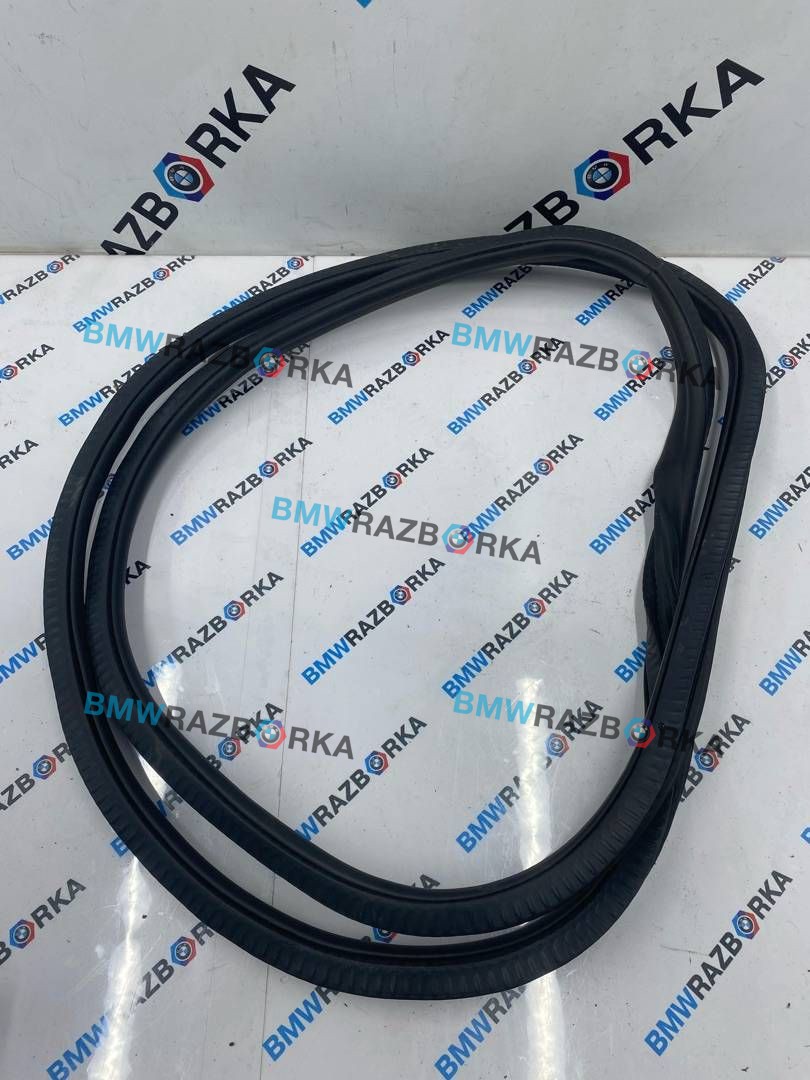 уплотнитель двери BMW M5 F90 2019, 4.4 л., S63 B44 B, бензин, АКПП, c28, седан, полный привод, 7337000
