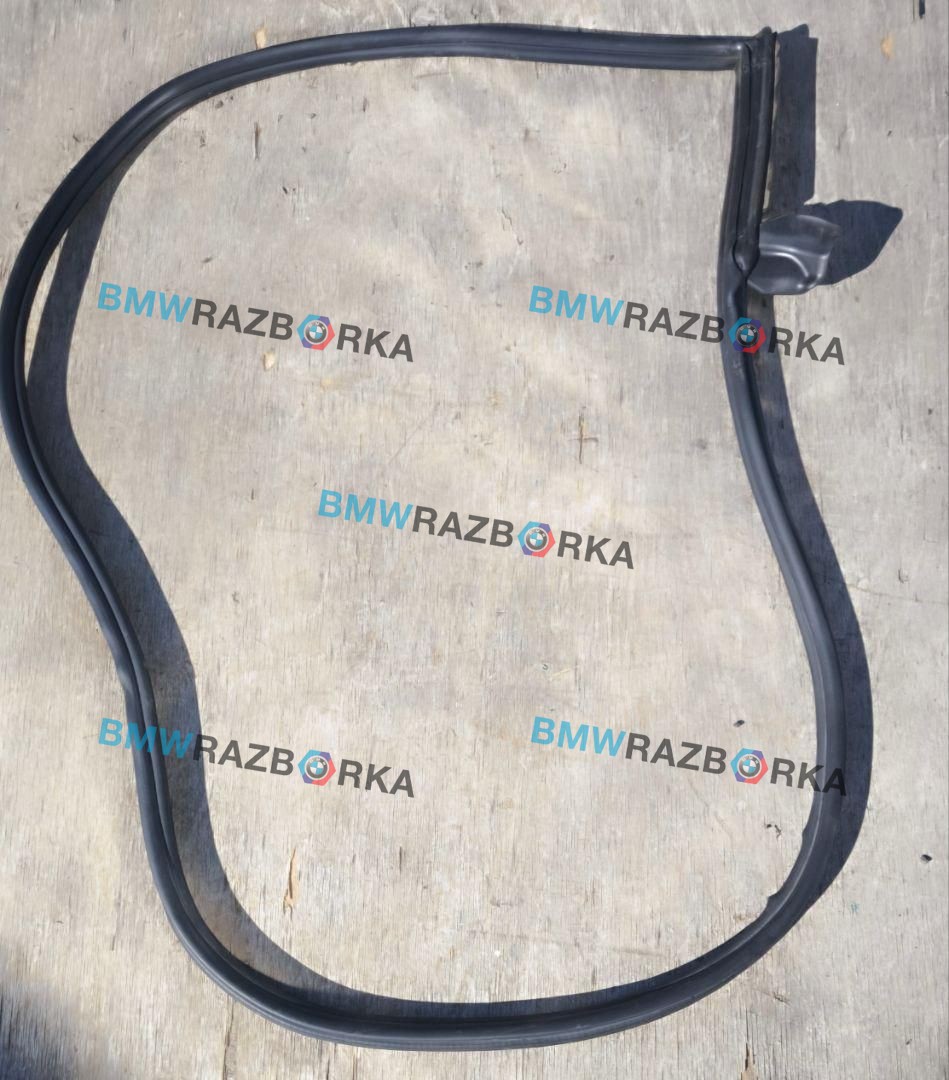уплотнитель двери Toyota Supra 5 поколение A90 A90 2019, 3.0 л., бензин, АКПП, d05, купе, задний привод, 8811719