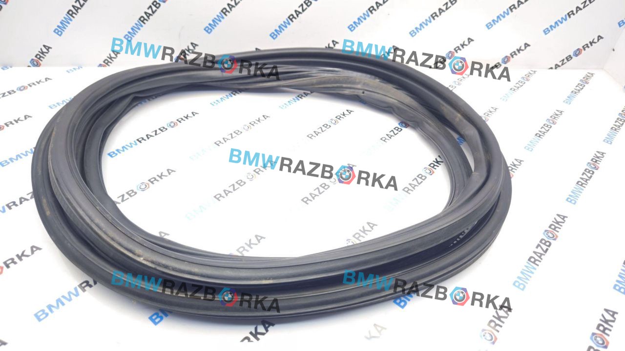 уплотнитель BMW X6 F16 2015, 3.0 л., N57 D30 C, дизель, АКПП, a96, внедорожник 5 дв., полный привод