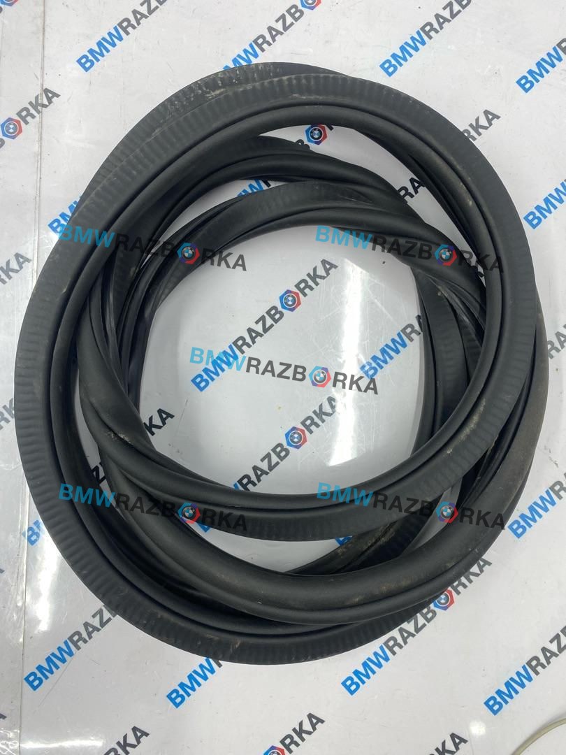 уплотнитель двери BMW X5 G05 [рестайлинг] G05 2025, 3.0 л., B57 D30 B, дизель, АКПП, c35, внедорожник 5 дв., полный привод, 7428678