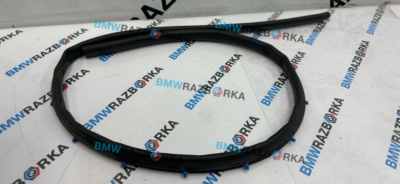уплотнитель двери BMW X2 F39 2018, 2.0 л., 7349646