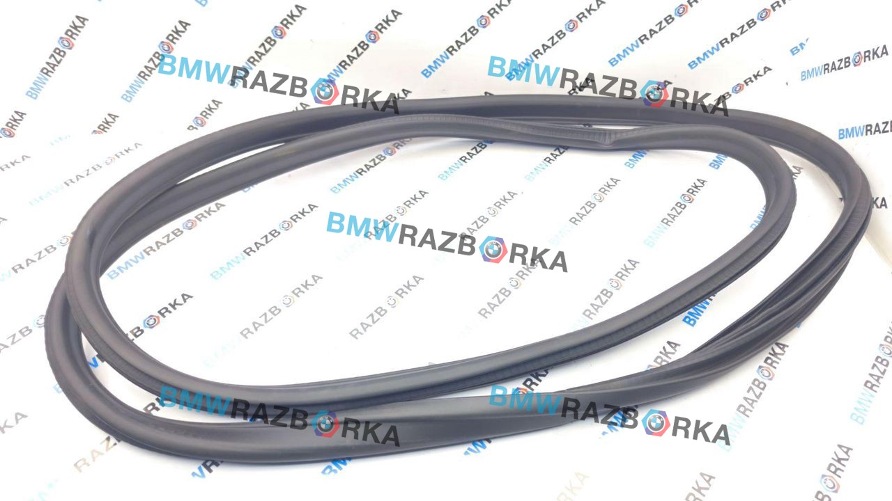 уплотнитель двери BMW M2 G87 2024, S58B30A, АКПП, купе, задний привод, 7482813