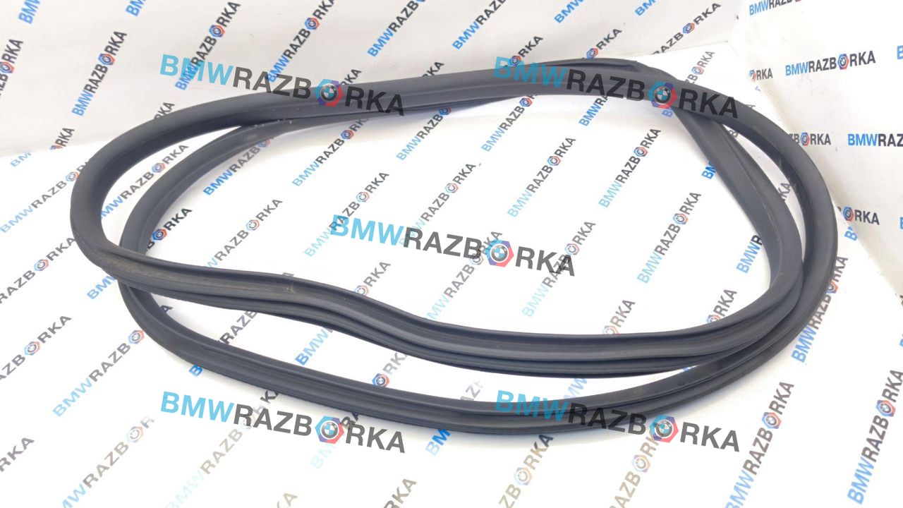 уплотнитель двери BMW M2 G87 2024, S58B30A, АКПП, купе, задний привод, 7482813