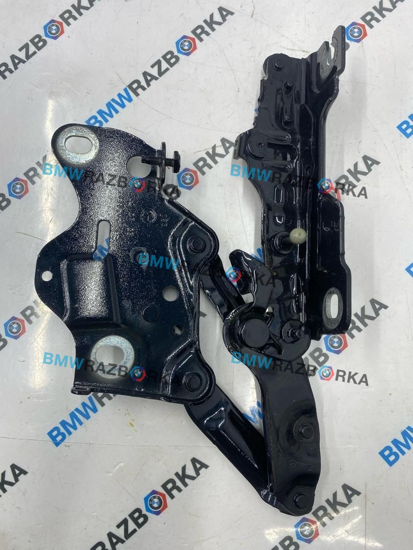 петля капота правая BMW X6 G06 [рестайлинг] G06 2024, 3.0 л., B58B30P, бензин, АКПП, 416, внедорожник 5 дв., полный привод, 7418202