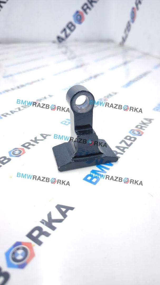 петля двери BMW X6 G06 [рестайлинг] G06 2024, 3.0 л., B58B30P, бензин, АКПП, 416, внедорожник 5 дв., полный привод, 7333062