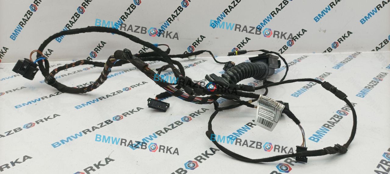 дверная проводка BMW X2 F39 2019, 2.0 л., B48A20E, бензин, 475, полный привод, 8795810