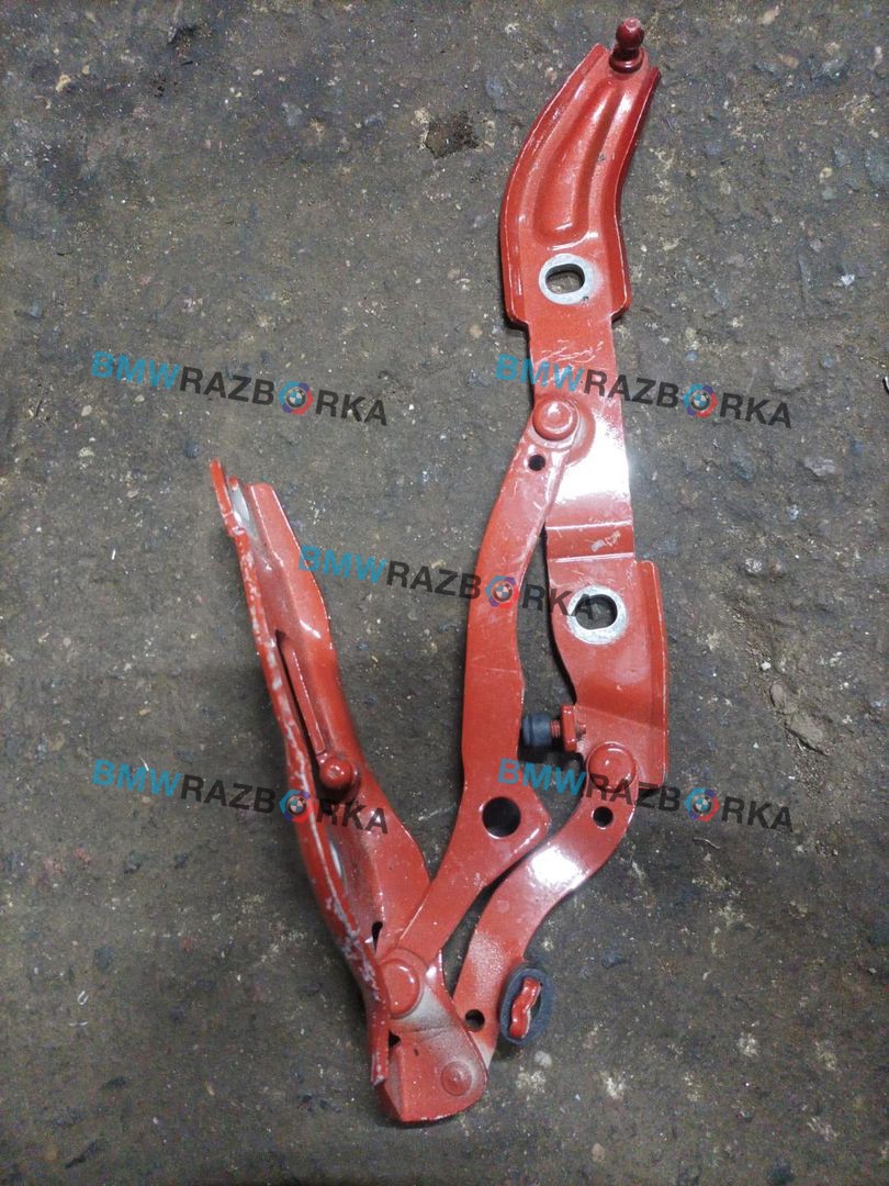 петля крышки багажника BMW 2 серия F22/F23 F22 2015, 1.5 л., B38 B15 A, бензин, МКПП, купе, 7304558