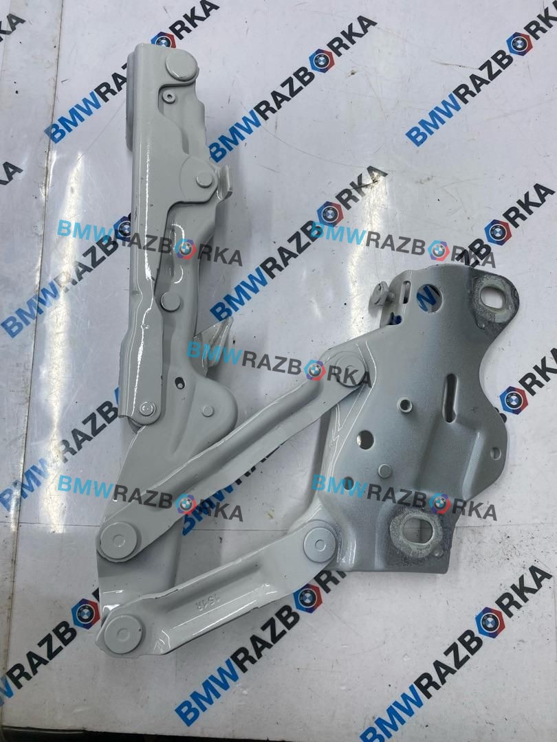 петля капота правая BMW X5 G05 [рестайлинг] G05 2024, 3.0 л., B57 D30 B, дизель, АКПП, a96, внедорожник 5 дв., полный привод, 7418202