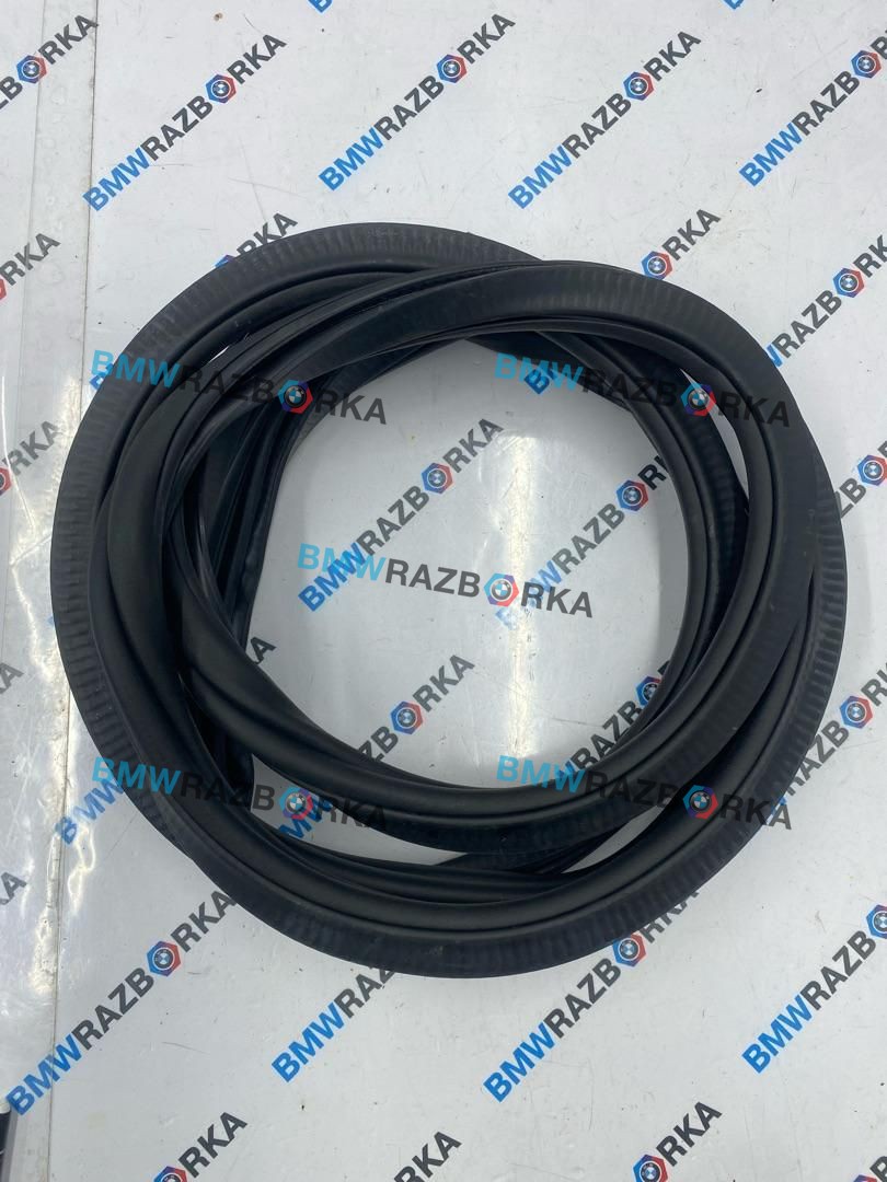 уплотнитель двери BMW X5 G05 [рестайлинг] G05 2024, 3.0 л., B57 D30 B, дизель, АКПП, a96, внедорожник 5 дв., полный привод, 7428696