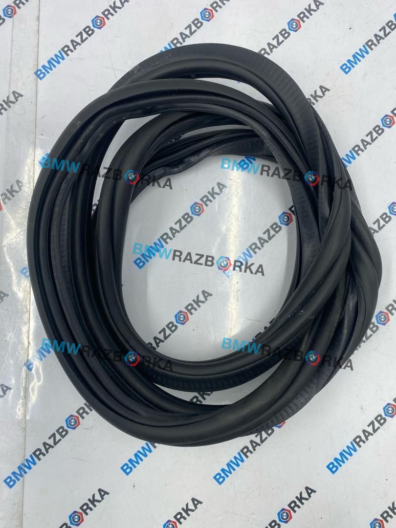 уплотнитель двери BMW X5 G05 [рестайлинг] G05 2024, 3.0 л., B57 D30 B, дизель, АКПП, a96, внедорожник 5 дв., полный привод, 7428678