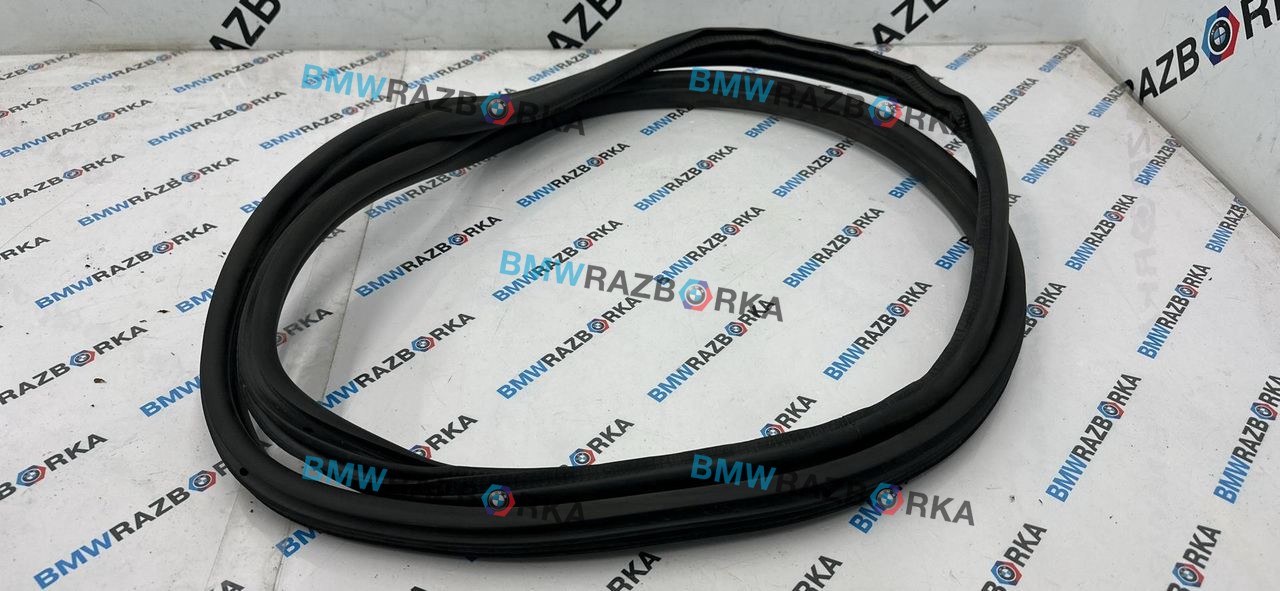 уплотнитель двери BMW X2 U10 2025, 2.0 л., бензин, АКПП, белый, внедорожник 5 дв., передний привод, правый руль, 51729451505, 9451505