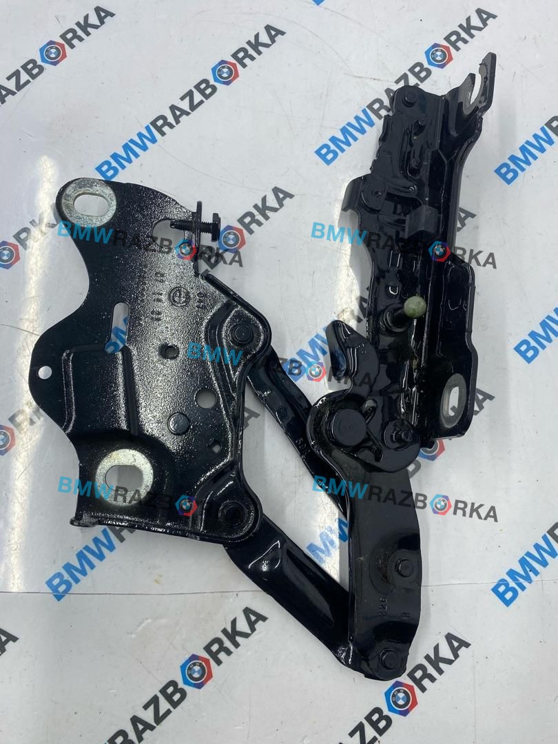 петля капота правая BMW X7 G07 [рестайлинг] G07 2023, 3.0 л., B58B30P, бензин, АКПП, 475, внедорожник 5 дв., полный привод, 7418202