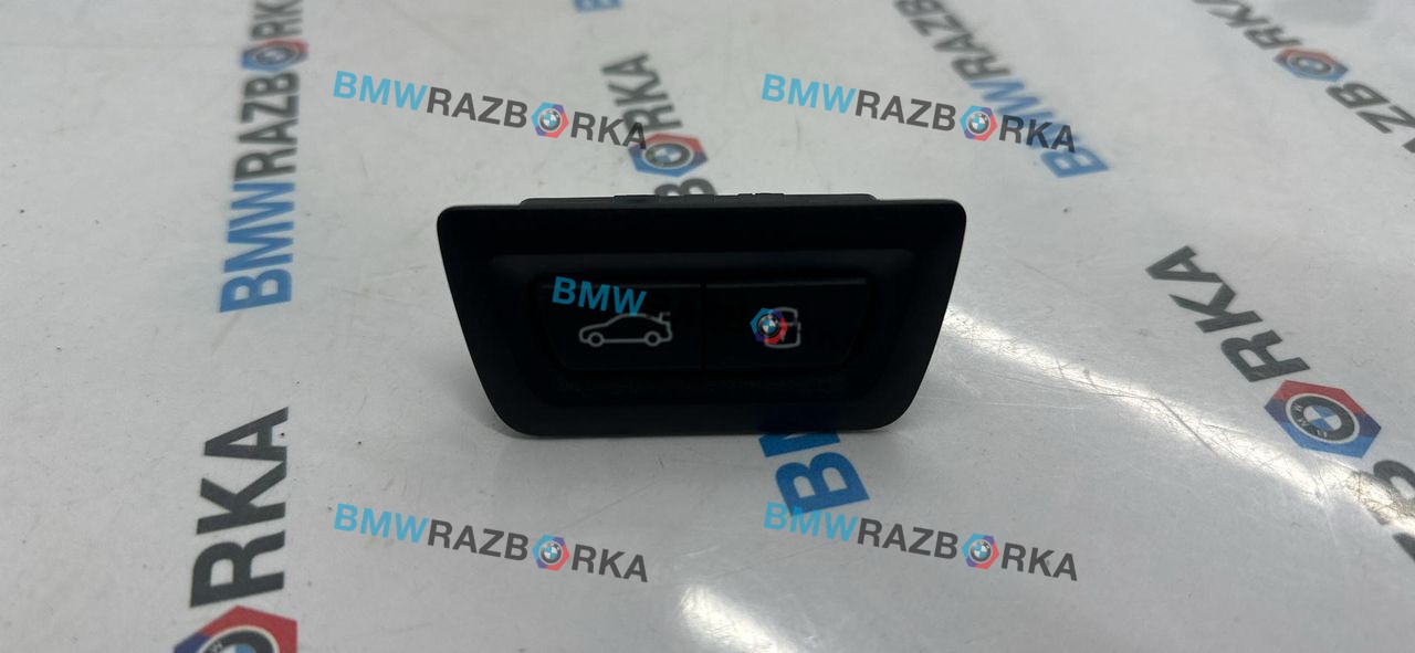 кнопка открытия багажника BMW X5 G05 [рестайлинг] G05 2023, 3.0 л., B58B30P, бензин, АКПП, a96, полный привод, 5A64C25