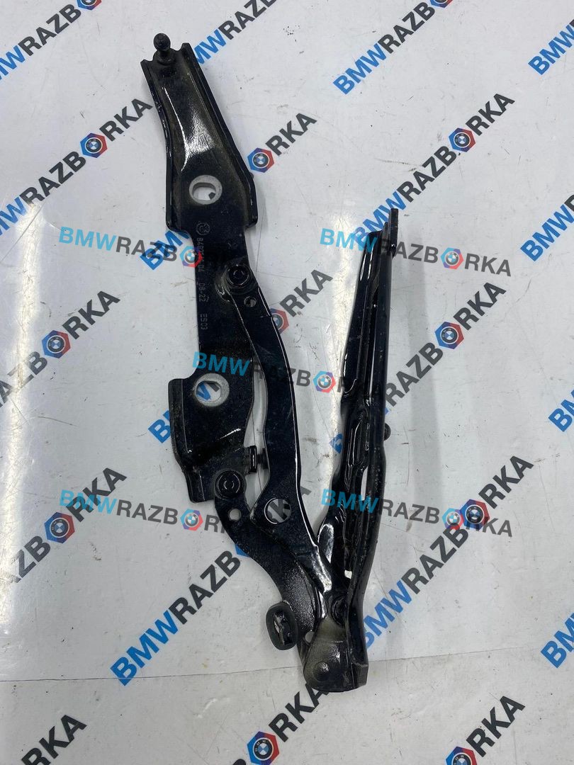 петля крышки багажника BMW M2 G87 2023, S58B30A, АКПП, купе, задний привод, 8492141