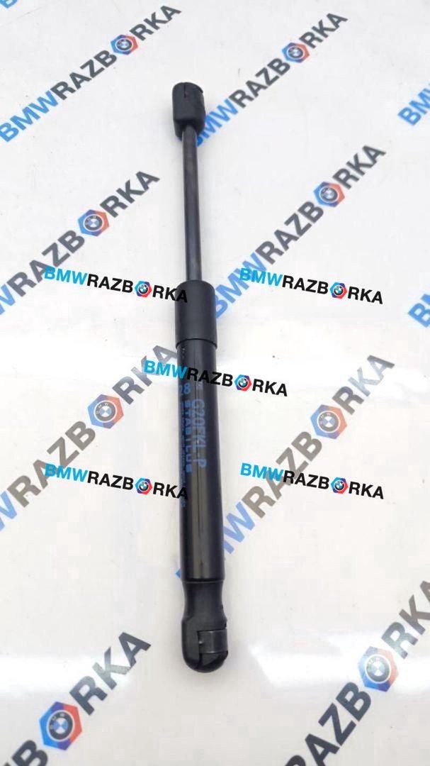 амортизатор капота BMW M2 G87 2023, S58B30A, АКПП, купе, задний привод, 7419387, 51237419387
