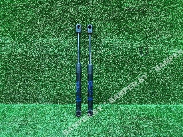 амортизатор капота BMW X4 M F98 2019, 3.0 л., S58B30A, бензин, АКПП, phytonicblau metallic (c1m), внедорожник 5 дв., 51237397493, 7397493