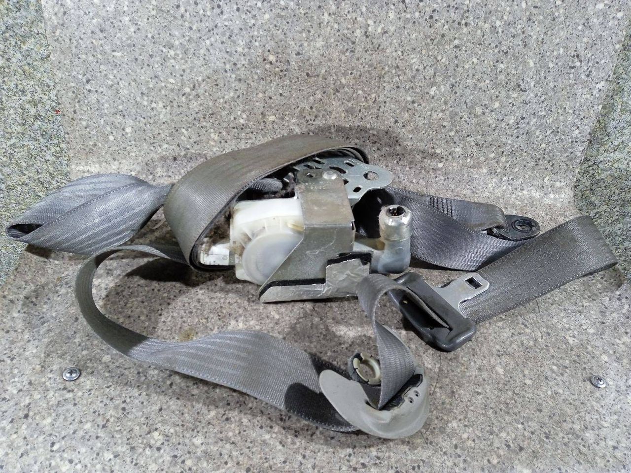 ремень безопасности Toyota Prius 2 поколение (2003 - 2011), 7L8220-P - фото №1