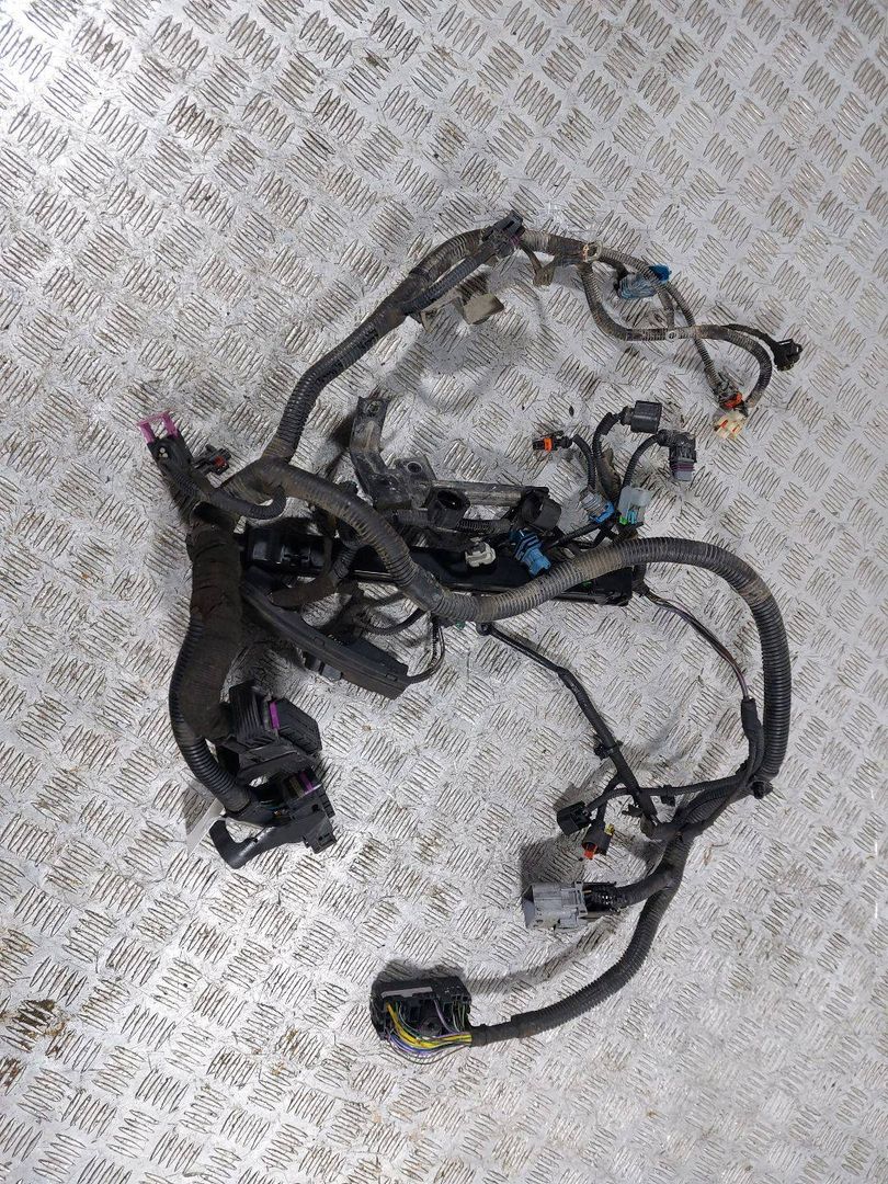 проводка двигателя Chevrolet Cruze 1 поколение (2009 - 2012), 1.6 л., i, F16D4, бензин - фото №1