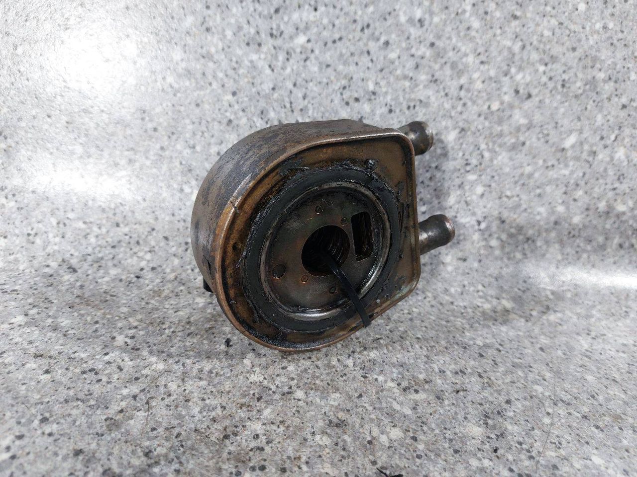 теплообменник масляного фильтра Renault Megane 2 поколение (2002 - 2006), 1.9 л., DCi, F9Q 800, дизель, МКПП - фото №1