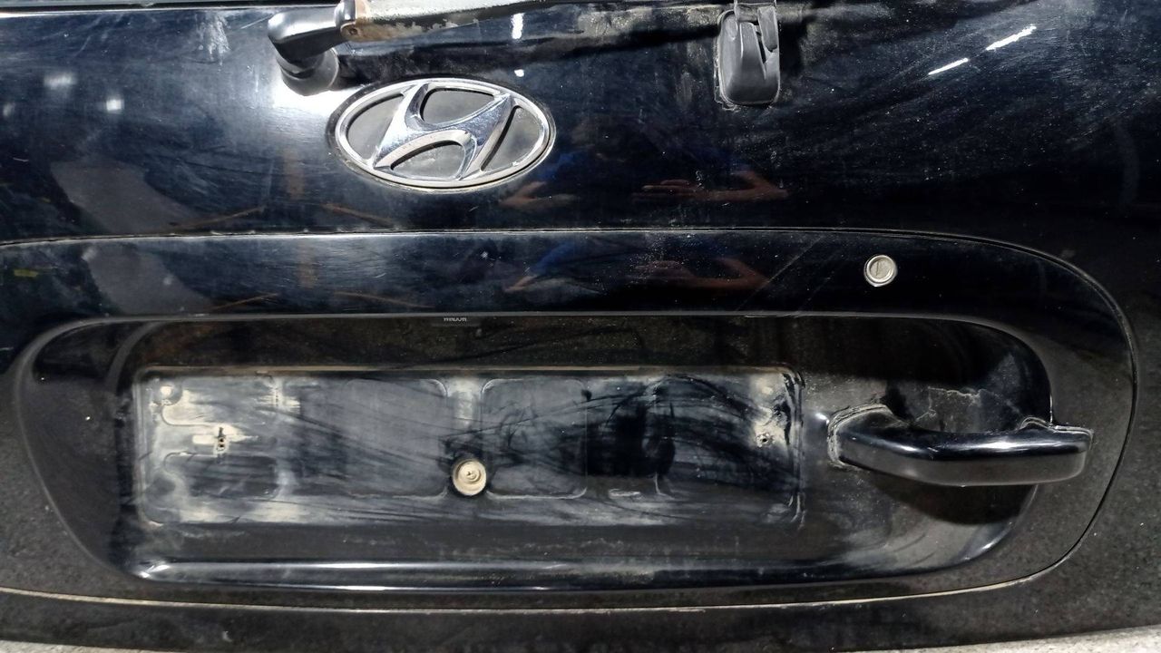 накладка подсветки номера Hyundai Santa Fe 1 поколение (SM) (2000 - 2004) - фото №1