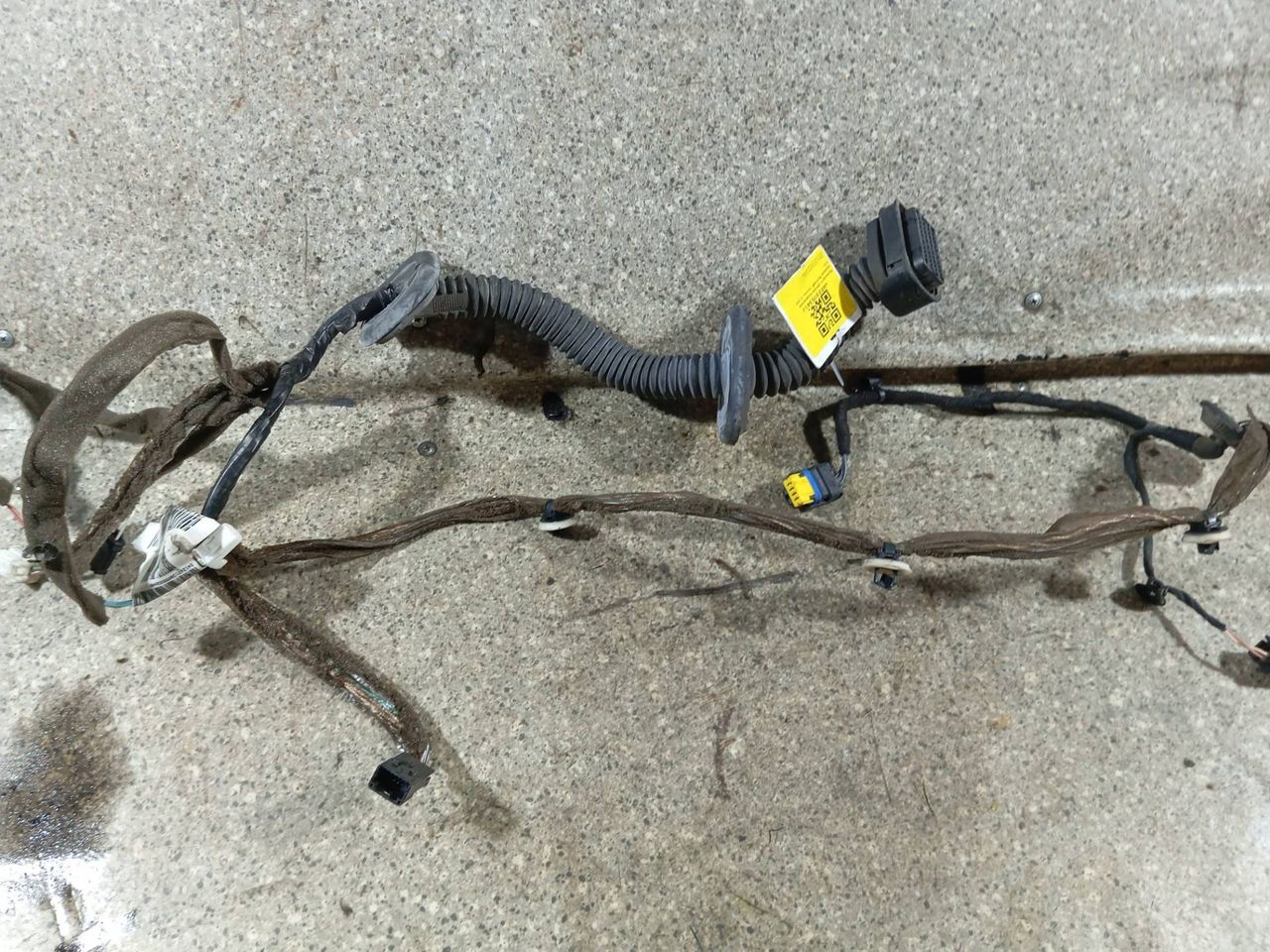 дверная проводка Renault Scenic 3 поколение (2009 - 2012) - фото №1