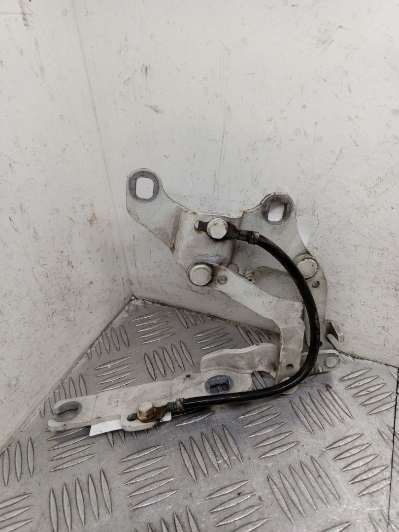 петля капота левая BMW 3 серия E90/E91 [рестайлинг] E90N 2010, 2.0 л., N47 D20 C, дизель, МКПП, седан, 7115263