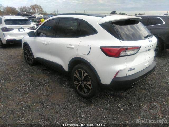 Ford Escape 4 CX482 2021