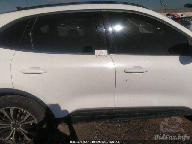 Ford Escape 4 CX482 2021