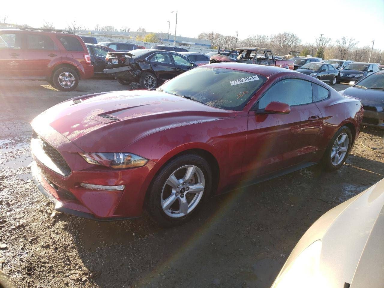 Ford Mustang 6  S550 рест. 2017