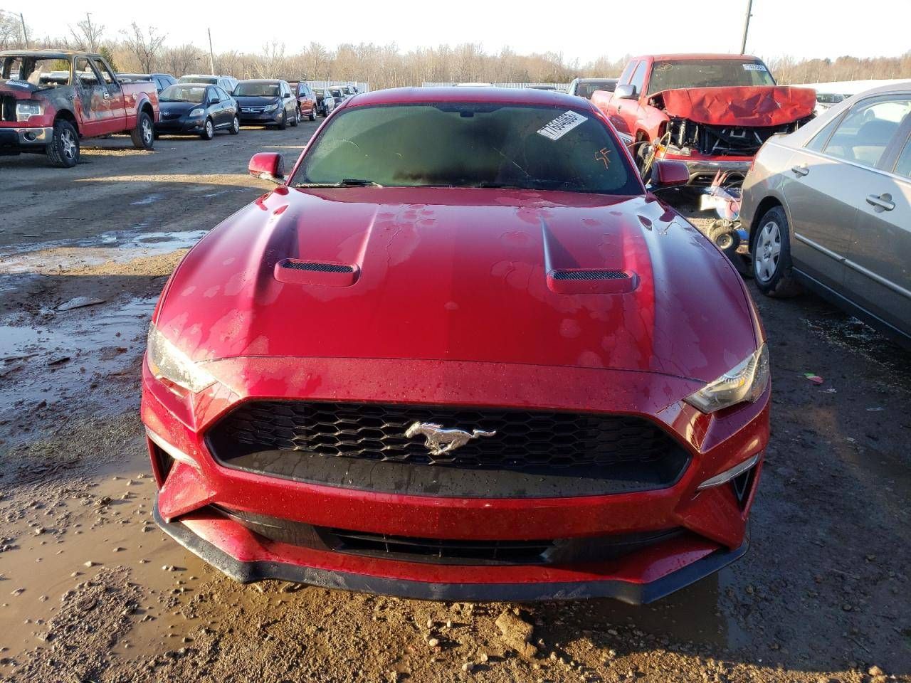 Ford Mustang 6  S550 рест. 2017
