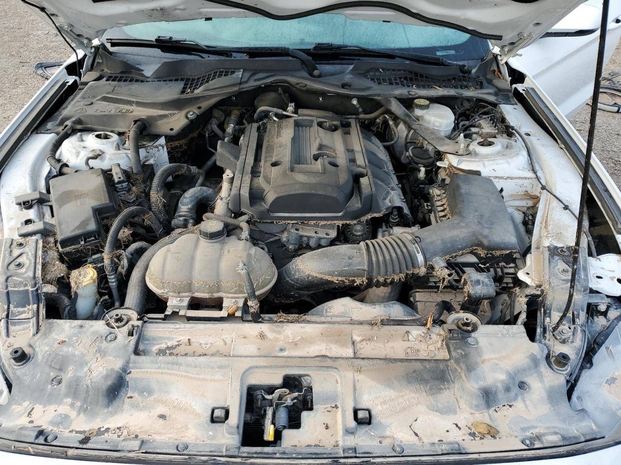 Ford Mustang 6 S550 рест. 2019