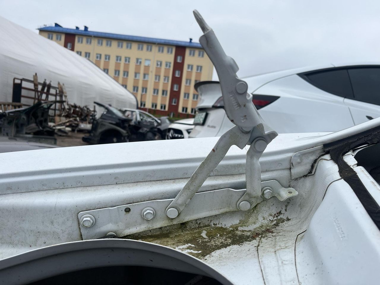 петля крышки багажника Dodge Challenger 3 поколение [2-й рестайлинг] (2015 - 2026), 04589667AD