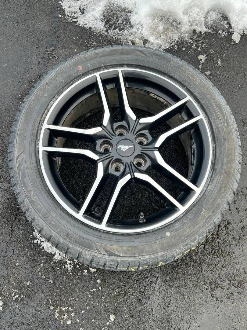 диск литой Ford Mustang 6 поколение S550 [рестайлинг] 2018, 2.3 л., бензин, АКПП, серебро, кабриолет, задний привод, JR3C1007BA