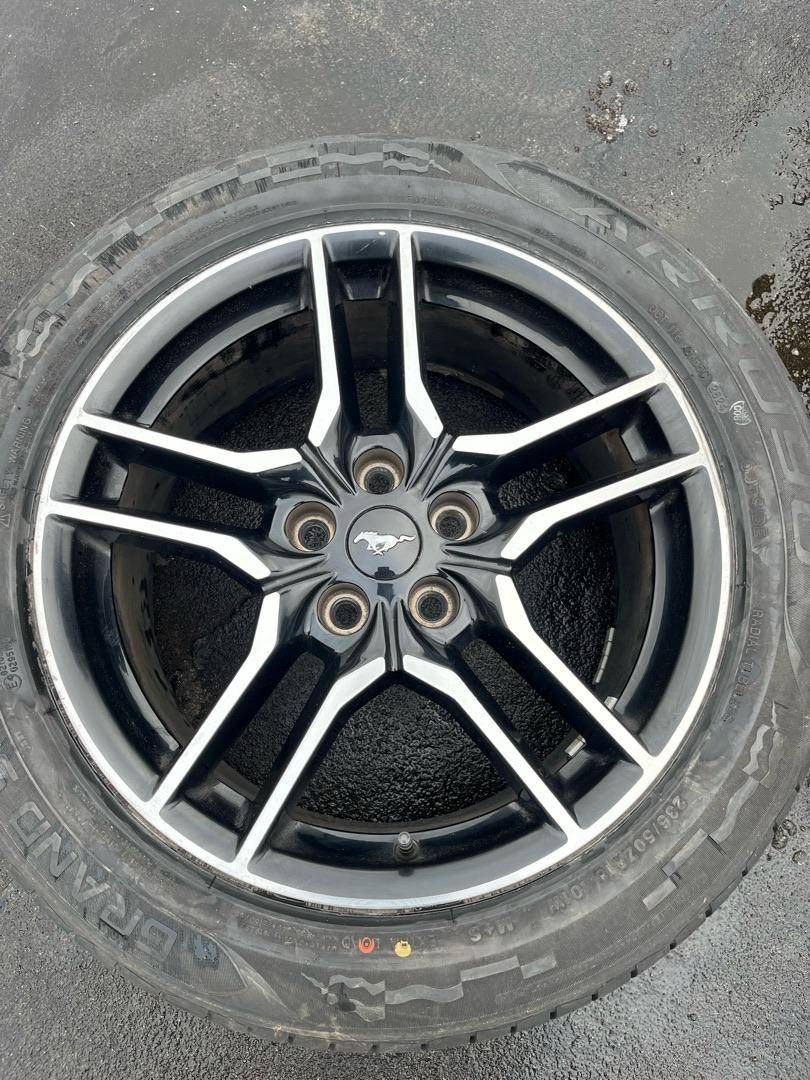 диск литой Ford Mustang 6 поколение S550 [рестайлинг] 2018, 2.3 л., бензин, АКПП, черный, кабриолет, задний привод, JR3C1007BA