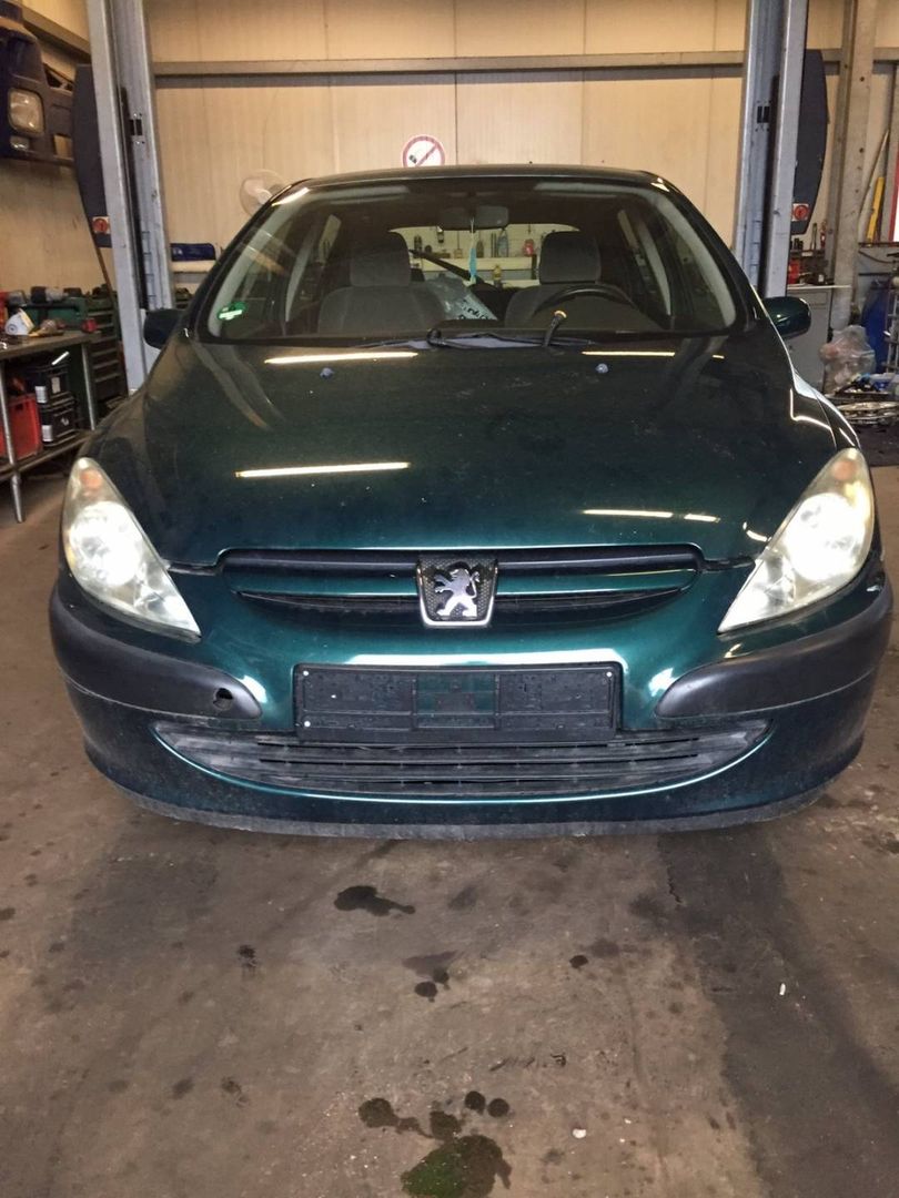Peugeot 307 2001