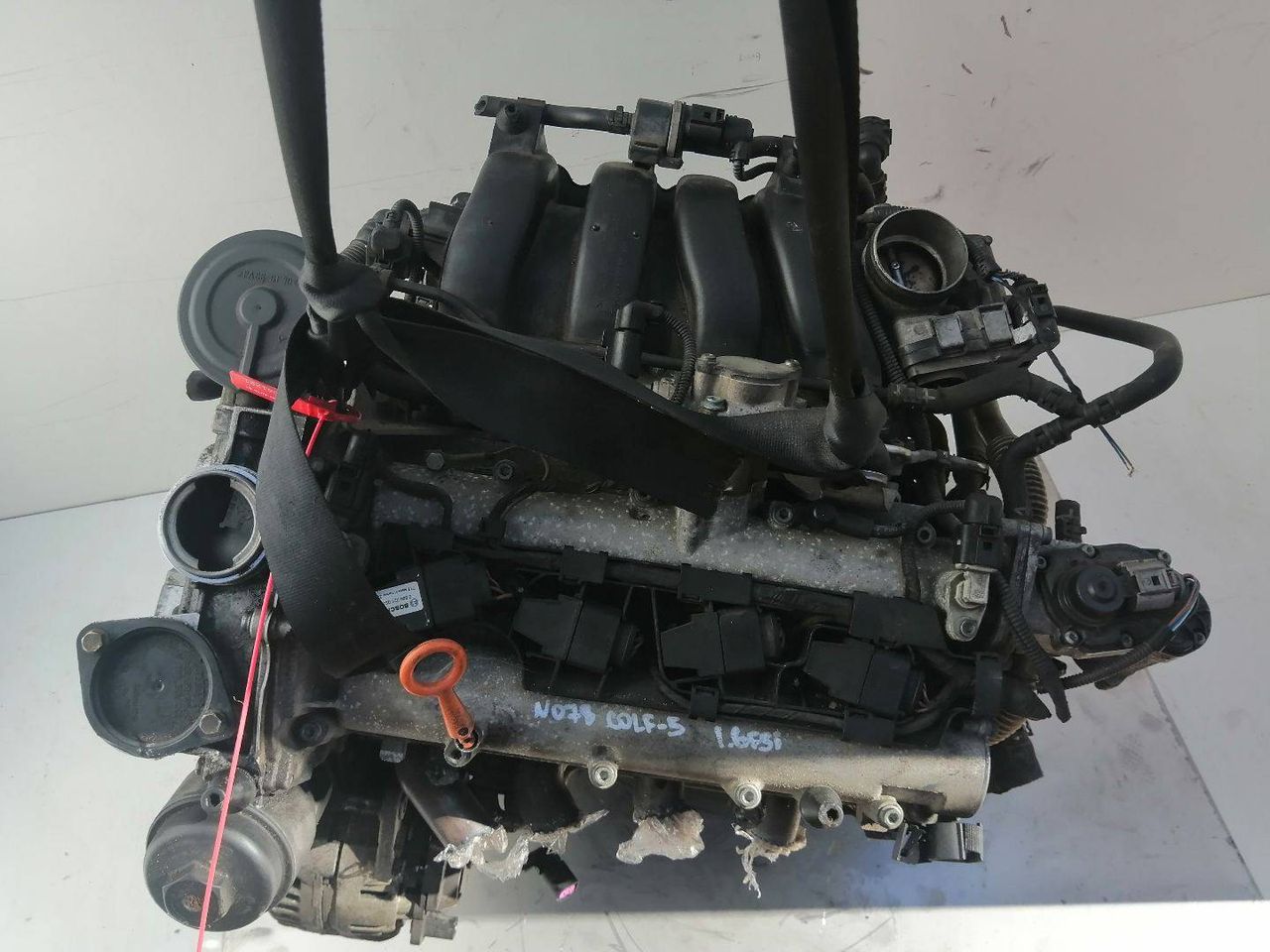 двигатель Volkswagen Golf 5 поколение 2005, 1.6 л., FSI, BLP, бензин, 6МКПП, синий, хетчбэк 5 дв., BLP