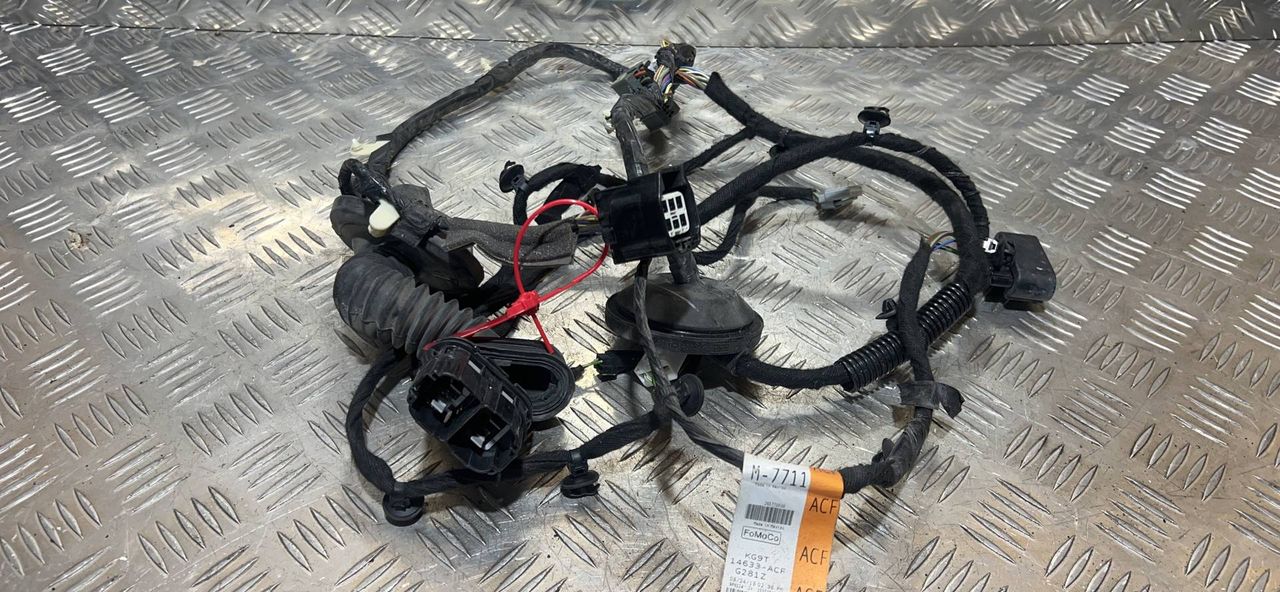 дверная проводка Ford Fusion (USA) 2 поколение [рестайлинг] 2019, 1.5 л., бензин, АКПП, седан