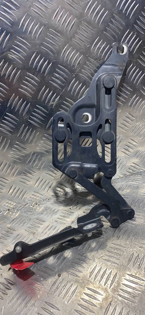 петля капота левая BMW X5 E70 2008, 3.0 л., M57 D30 (306D3), дизель, АКПП, черный, внедорожник 5 дв.