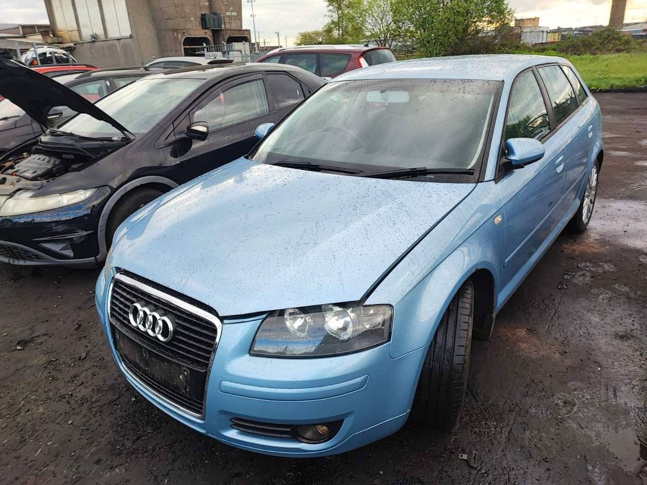 Audi A3 8P 2004