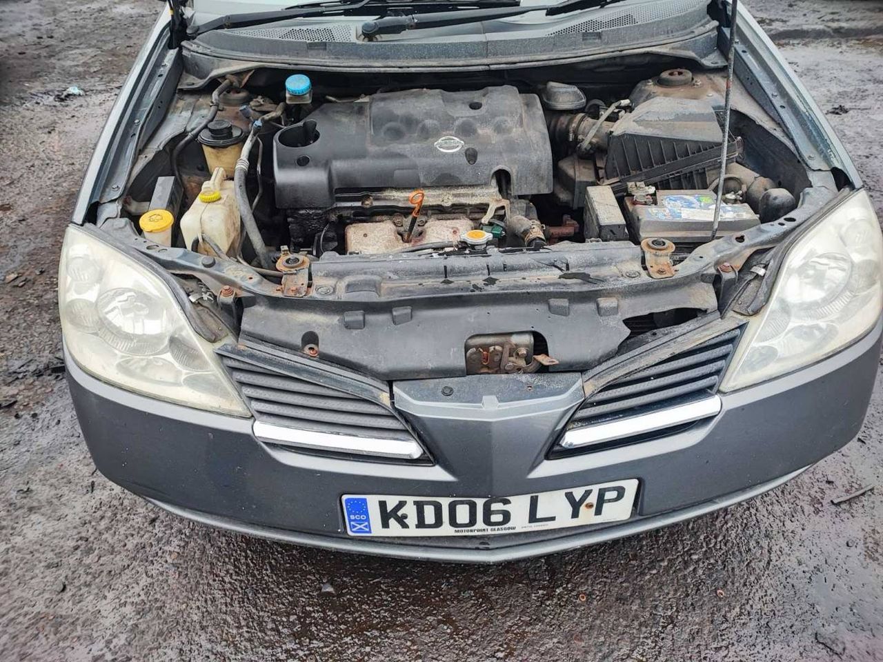 Nissan Primera P12 2006