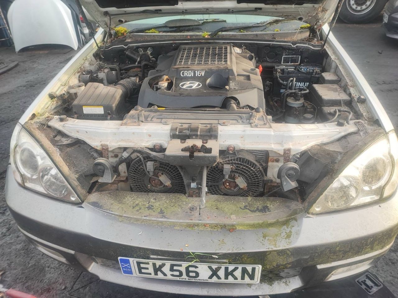 Hyundai Terracan рест. 2006