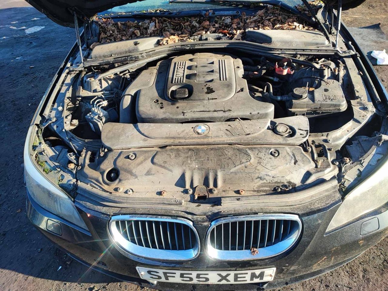 BMW 5 E60/E61 2005