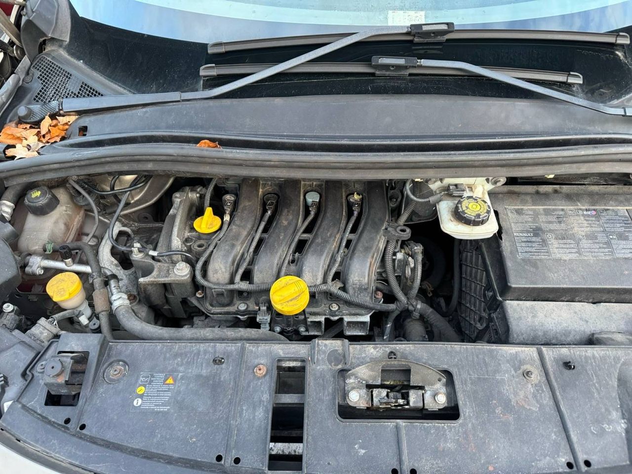 Renault Scenic 3 2010