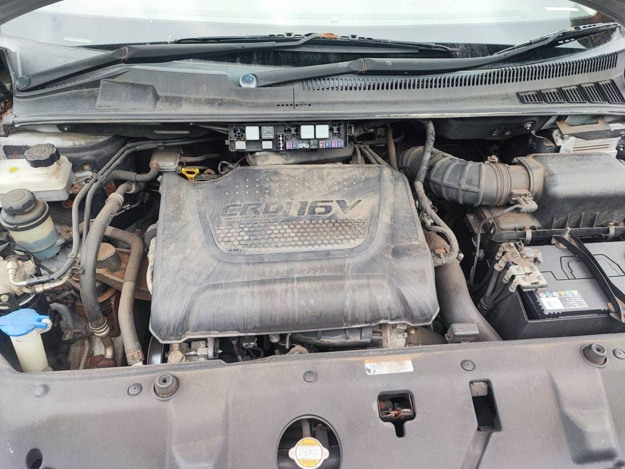 Kia Carnival 2 2011