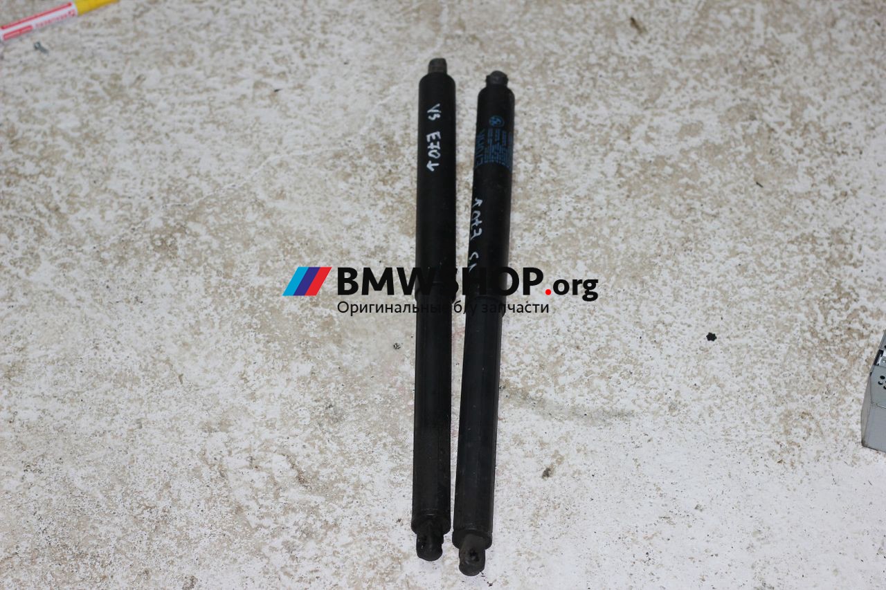амортизатор крышки багажника (3-5 двери) BMW X5 E70 2009, 3.0 л., дизель, АКПП, внедорожник 5 дв., правый руль, 51247177283