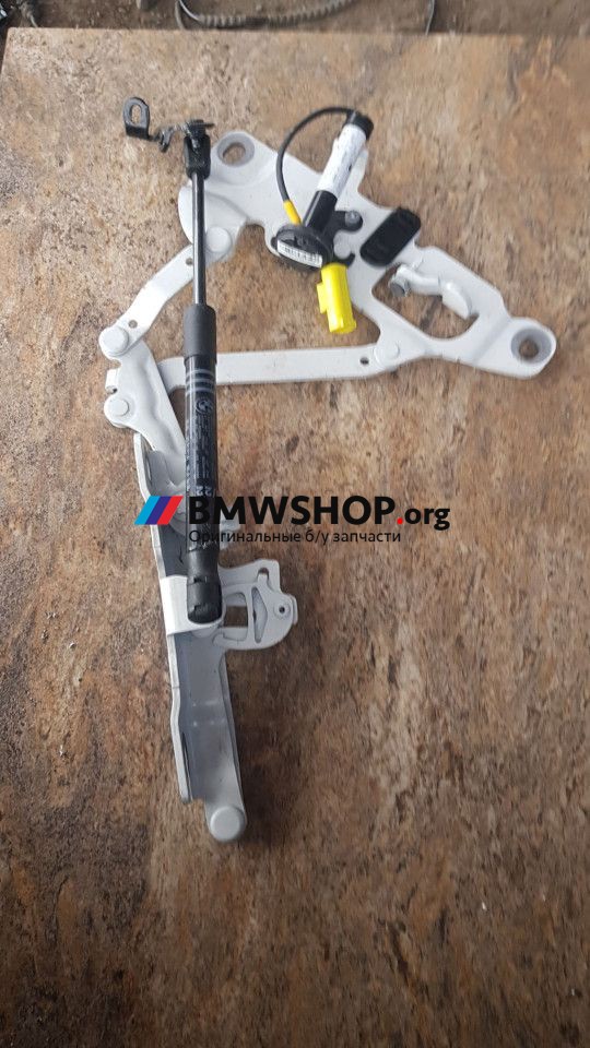 петля капота правая BMW 6 серия F12/F13 [рестайлинг] 2017, 3.0 л., N55 B30 A, бензин, АКПП, кабриолет, 7249888