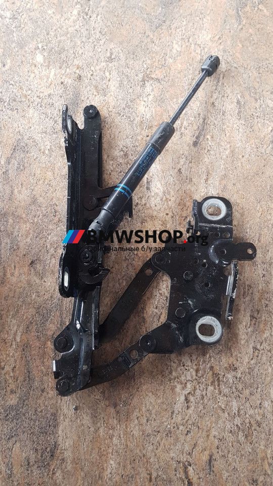 петля капота левая BMW M2 F87 [рестайлинг] 2020, 3.0 л., S55 B30 A, бензин, робот, купе, задний привод, правый руль, 41617286343, 7286343