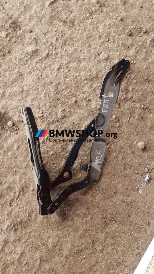 петля крышки багажника BMW M2 F87 [рестайлинг] 2020, 3.0 л., S55 B30 A, бензин, робот, купе, задний привод, правый руль, 7304557