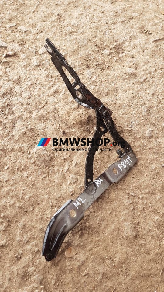 петля крышки багажника BMW M2 F87 [рестайлинг] 2020, 3.0 л., S55 B30 A, бензин, робот, купе, задний привод, правый руль, 7304558